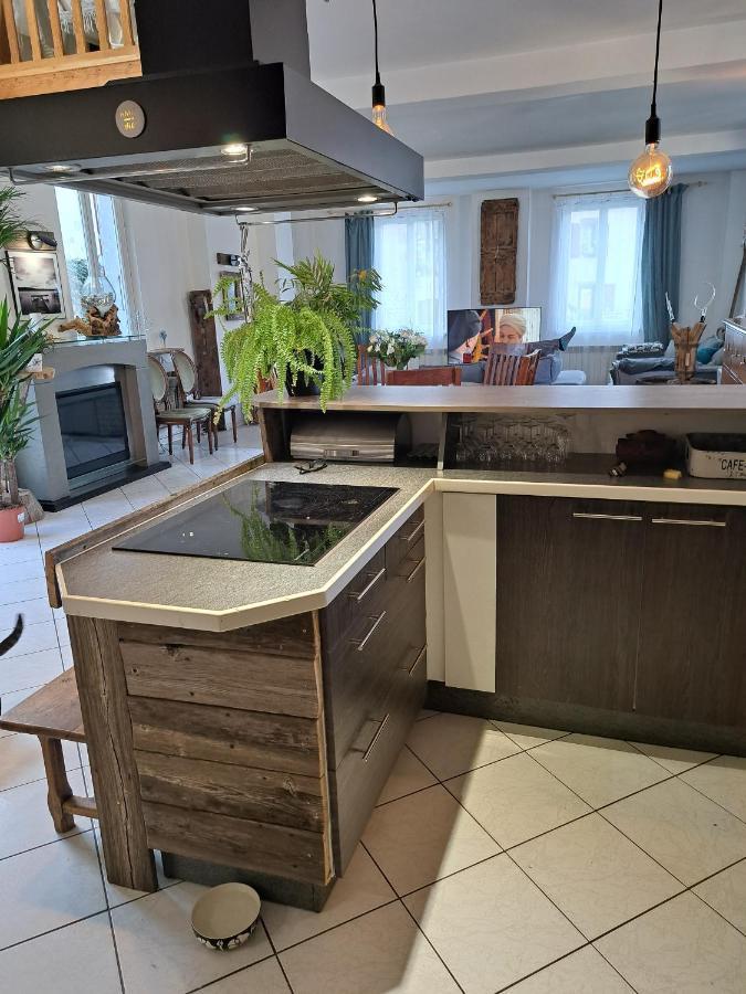 Gite Redrooster Home - 160M2, 4 Ch, 2 Sdb, Fibre, Parking, Sauna, Bain A Remous Theys Kültér fotó
